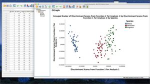 Statistikanalyse-Software