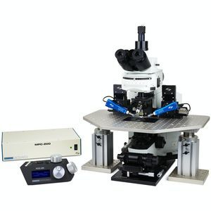 Patch-Clamp-System