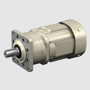 AC-Getriebemotor 1