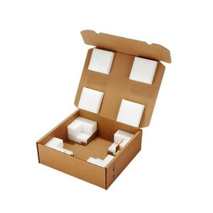 Kartonverpackung 1