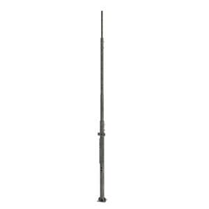 Mast