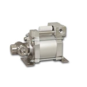 Kolbenpumpe 1