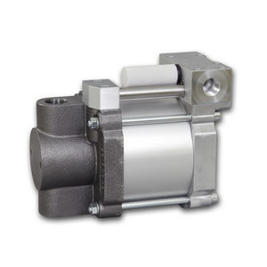 Kolbenpumpe 1