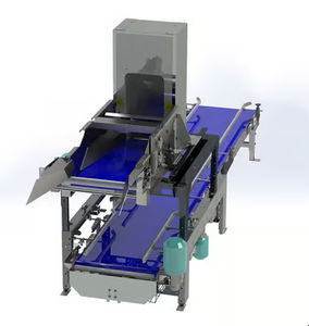 Abfüllmaschine für Kartons 1