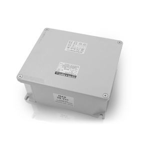 elektronische Kontrolleinheit 1