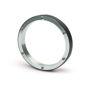 Magnetring 1