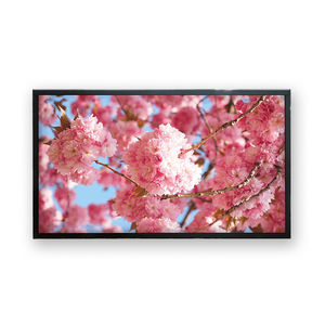LCD-Monitor