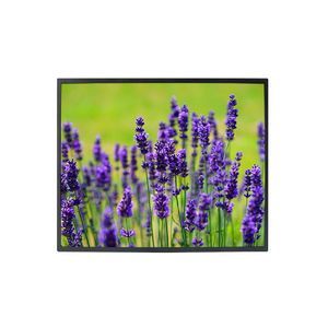 TFT-LCD-Monitor 1