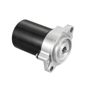 bürstenbehafteter Motor