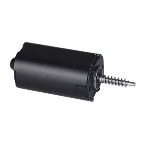 bürstenbehafteter Motor