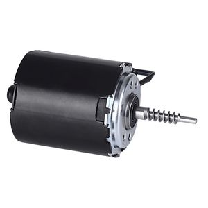 bürstenbehafteter Motor