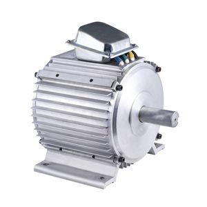 bürstenloser Motor