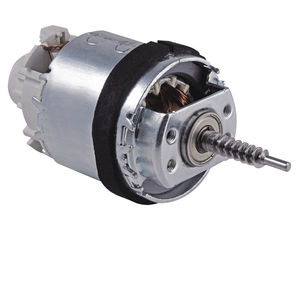 bürstenbehafteter Motor