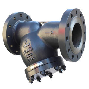 Y-förmiger Filter