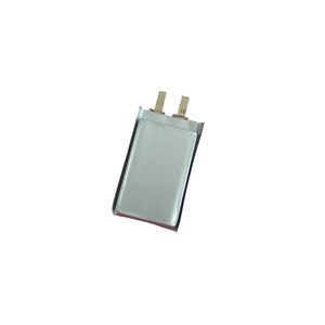 Lithium-Mangandioxid-Batterien FANSO - Alle Produkte auf DirectIndustry