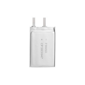 Lithium-Mangandioxid-Batterie