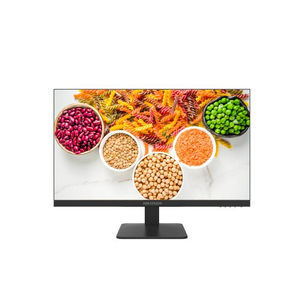 LCD-Monitor