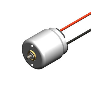 bürstenbehafteter Motor 1