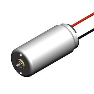 bürstenbehafteter Motor 1