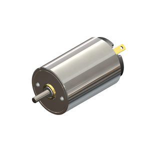 bürstenbehafteter Motor 1