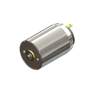 bürstenbehafteter Motor 1