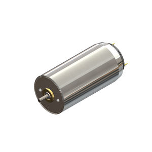 bürstenbehafteter Motor 1