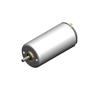 bürstenbehafteter Motor 1
