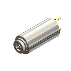 bürstenbehafteter Motor 1