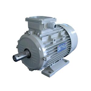Motor mit Gusseisengehäuse