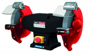 elektrische Doppelschleifmaschine 1