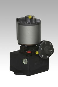 hydraulische Kolbenpumpe