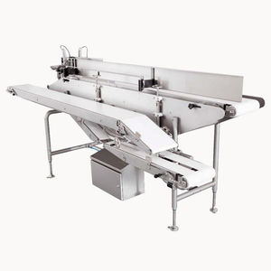 Toplader-Traypacker / automatisch / modular / servogesteuert