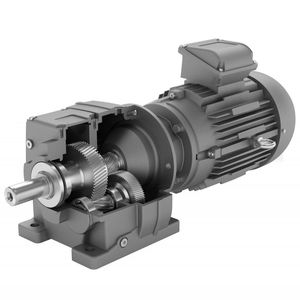 einphasiger Getriebemotor