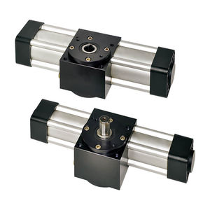 pneumatischer Antrieb 1