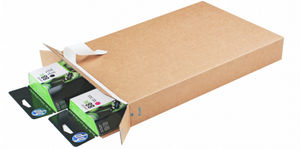 Kartonverpackung
