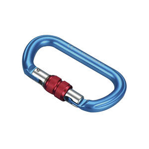 Karabiner mit Verriegelung 1