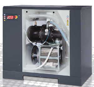 Schraubenkompressor 1