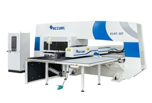 Stanzpresse