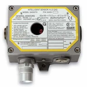 H2S-Gastransmitter