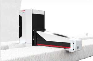 Rupfmaschine 1