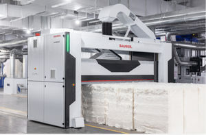 Rupfmaschine 1