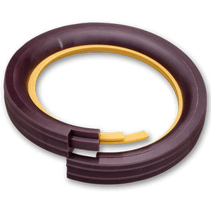 Ring-Lippen-Dichtung / kreisförmig / PTFE / für Pumpen