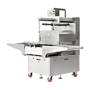 linearer Schalensiegler