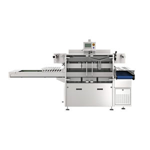linearer Schalensiegler