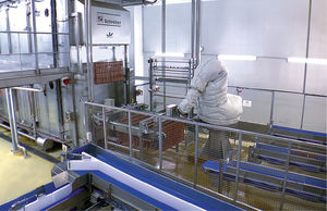 Pasteurisierer für die Lebensmittelindustrie