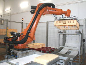 Palettierer und Depalettierer / Roboter