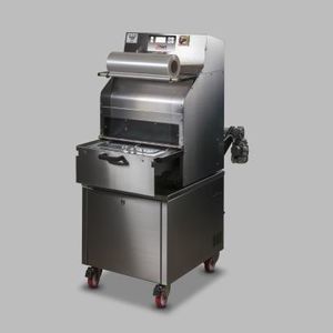 linearer Schalensiegler 1