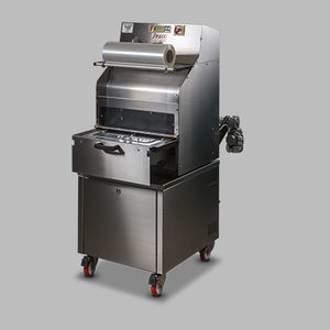 linearer Schalensiegler 1