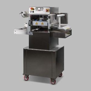 linearer Schalensiegler 1