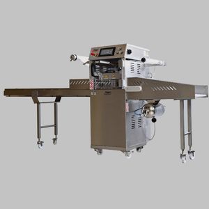 linearer Schalensiegler 1
